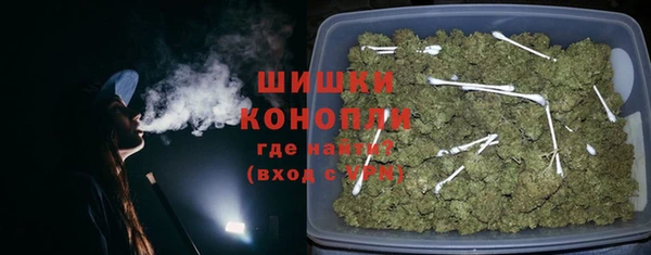 стаф Бородино