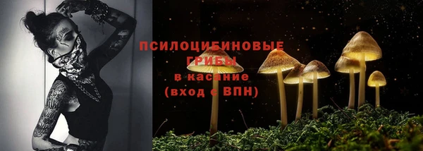 гашик Бронницы
