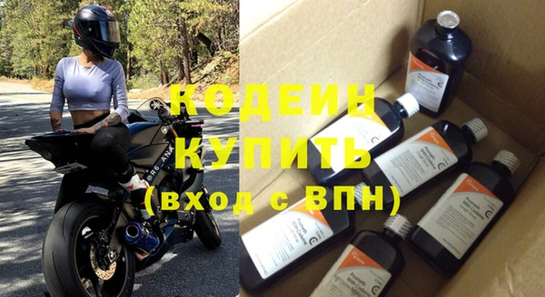 стаф Бородино