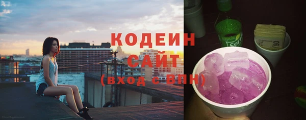 стаф Бородино