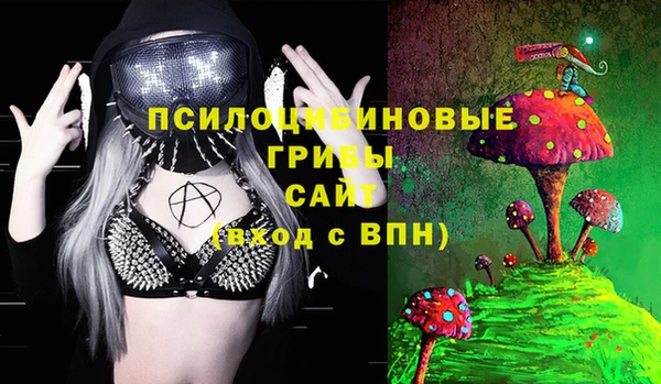 ALPHA PVP Богородицк