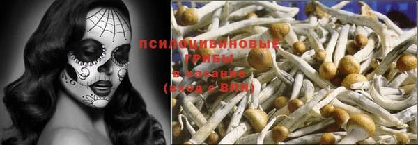 гашик Бронницы